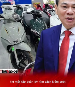 Theo thông tin và lý do khởi kiện, Vingroup tỏ ra “cay cú” khi Báo cáo tài chính của Tập đoàn bị “xới tung”