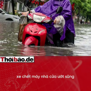 TRẦN SỸ THANH TRỒI LÊN SAU LŨ, MỞ MÀN MÀN “CHÉM GIÓ”