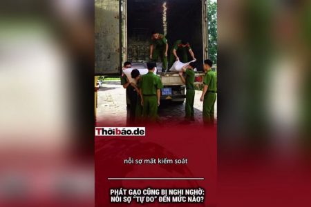 PHÁT GẠO CŨNG BỊ NGHI NGỜ: NỖI SỢ “TỰ DO” ĐẾN MỨC NÀO?