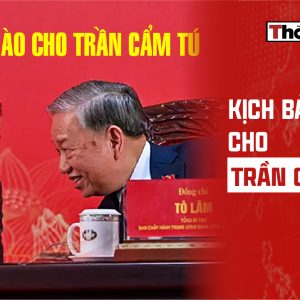 KỊCH BẢN NÀO CHO TRẦN CẨM TÚ?