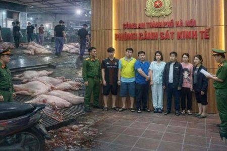 检疫干部团伙收受25亿越盾,为300吨病猪肉流入26所学校保驾护航!