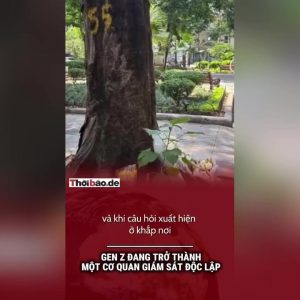 Gen Z đang trở thành một cơ quan giám sát độc lập