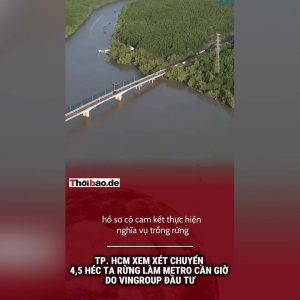 TP HCM xem xét chuyển 4,5 héc ta rừng làm Metro Cần Giờ do Vingroup đầu tư