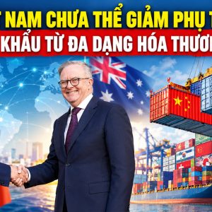 Việt Nam chưa thể giảm phụ thuộc nhập khẩu từ đa dạng hóa thương mại